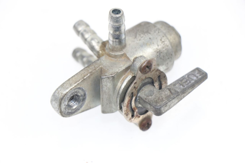 photo de BENZINHAHN JINCHENG DAX REPLICA 50 (2002 - 2015) - Hauptansicht