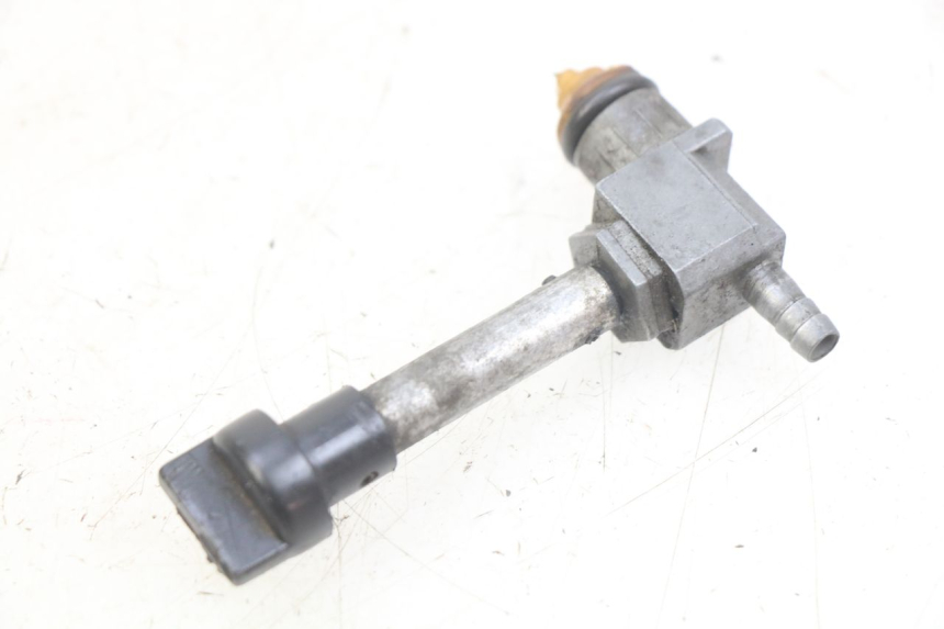 photo de TANKHAHNZUG PEUGEOT LUDIX 50 (2008 - 2017) - Hauptansicht