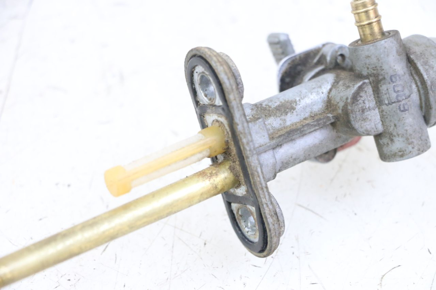 photo de BENZINHAHN MASAI XL 50 (2012 - 2019) - Alternative Perspektive