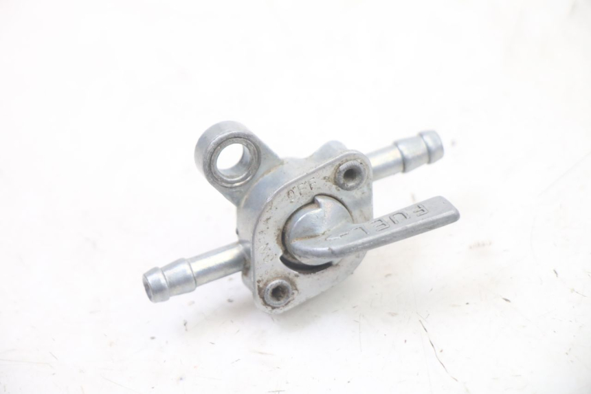 photo de BENZINHAHN SMALL MX THUNDER 250 - Hauptansicht