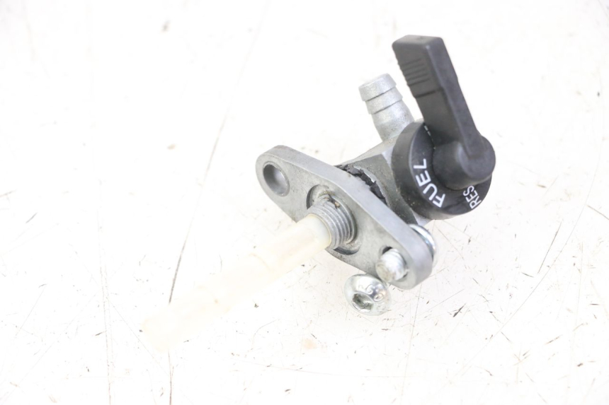 photo de BENZINHAHN VENT DERAPAGE 50 (2018 - 2023) - Alternative Perspektive