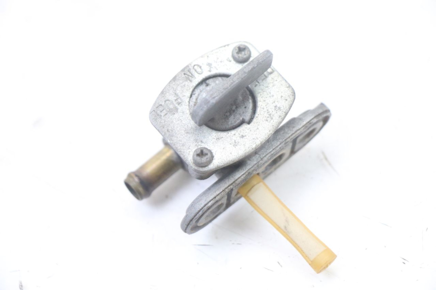 photo de BENZINHAHN YAMAHA FZS FAZER 600 (2001 - 2003) - Hauptansicht