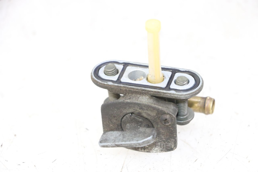 photo de BENZINHAHN YAMAHA FZS FAZER 600 (2001 - 2003) - Hauptansicht