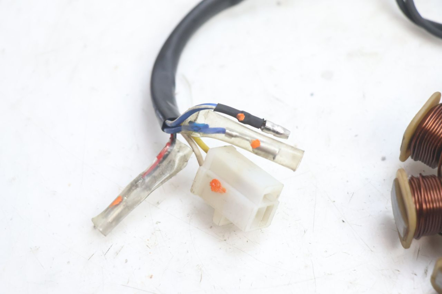 photo de LICHTMASCHINE MASH CITY 4T 50 (2018 - 2020) - Weitere Ansicht des Artikels