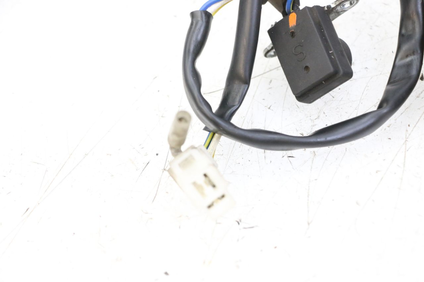 photo de LICHTMASCHINE LONGJIA DIGITA 4T 50 (2019 - 2022) - Details der Befestigungspunkte