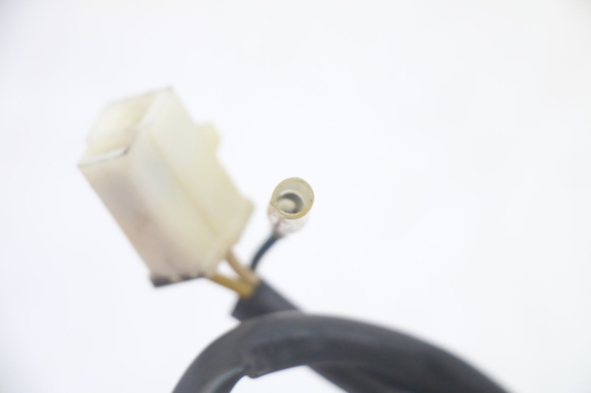 photo de LICHTMASCHINE LONGJIA DIGITA 4T 50 (2019 - 2022) - Weitere Ansicht des Artikels