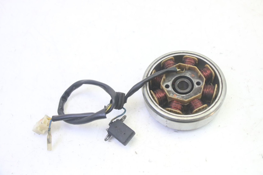 photo de LICHTMASCHINE LONGJIA DIGITA 4T 50 (2019 - 2022) - Alternative Perspektive