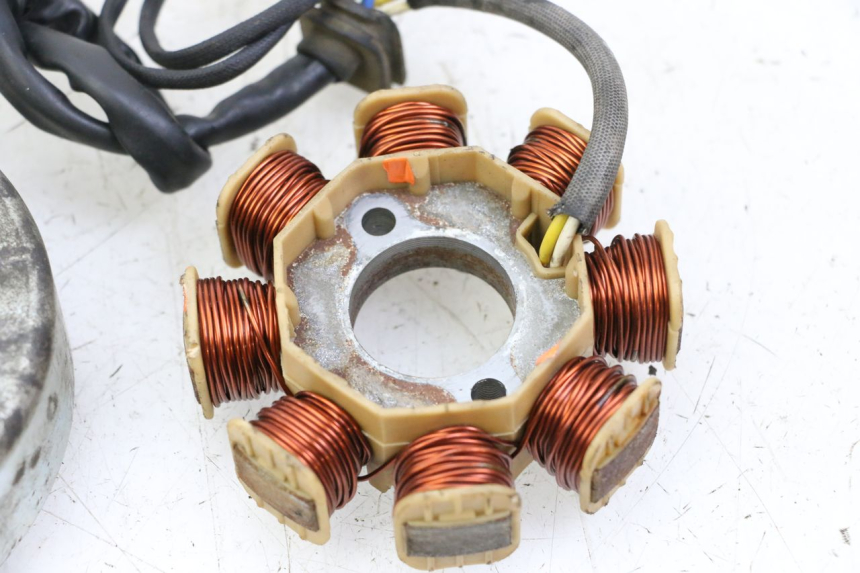 photo de ROTOR STATOR JM MOTORS EVOLIS 4T 50 (2018 - 2022) - Charakteristische Merkmale