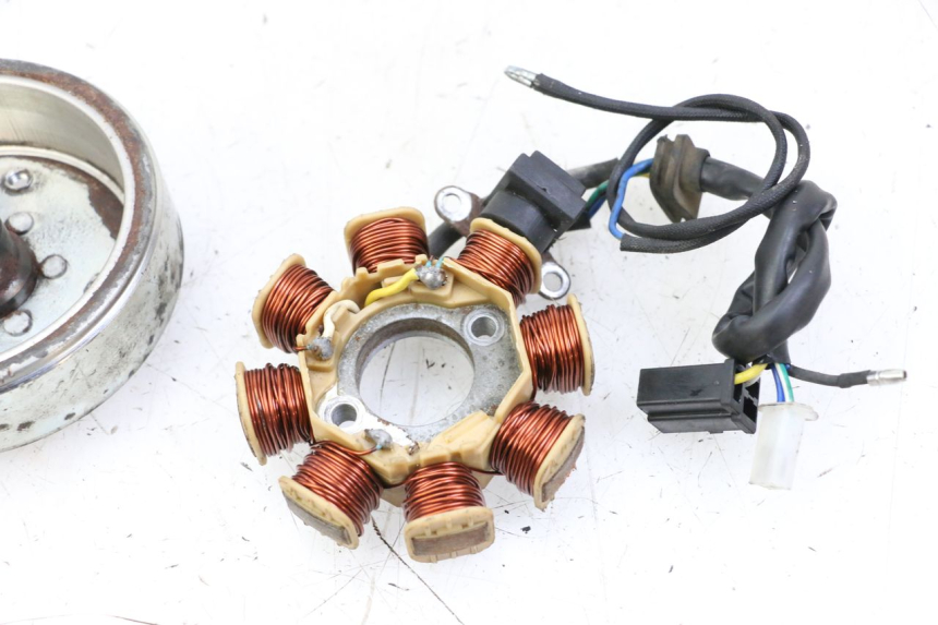 photo de ROTOR STATOR JM MOTORS EVOLIS 4T 50 (2018 - 2022) - Zoom auf Gebrauchszustand