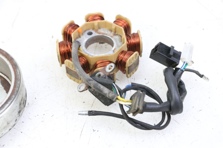 photo de ROTOR STATOR JM MOTORS EVOLIS 4T 50 (2018 - 2022) - Technische Nahaufnahme