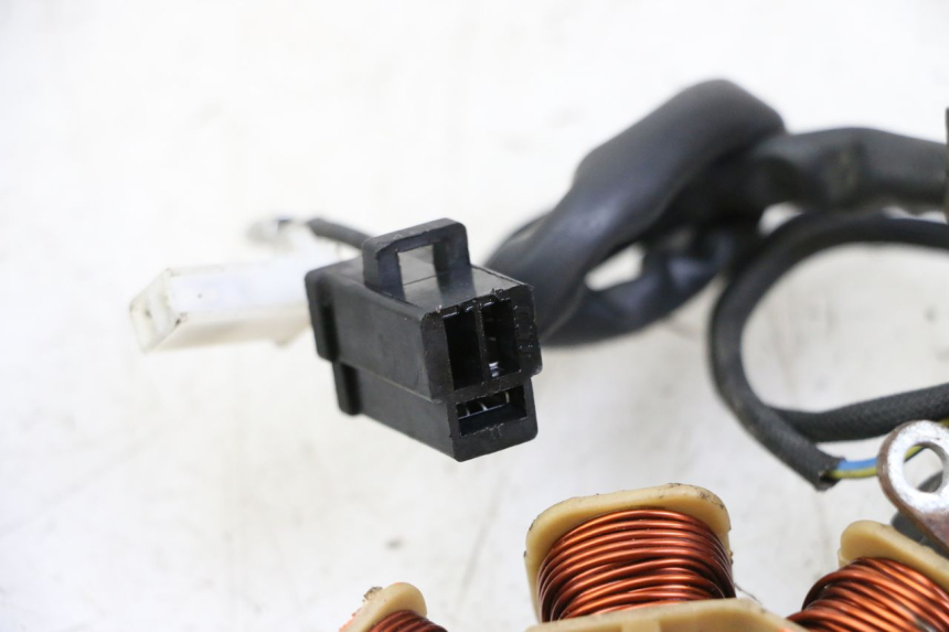 photo de ROTOR STATOR JM MOTORS EVOLIS 4T 50 (2018 - 2022) - Gesamtansicht des Produkts