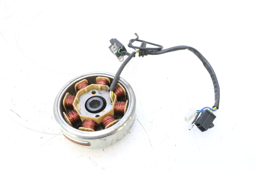 photo de ROTOR STATOR JM MOTORS EVOLIS 4T 50 (2018 - 2022) - Alternative Perspektive