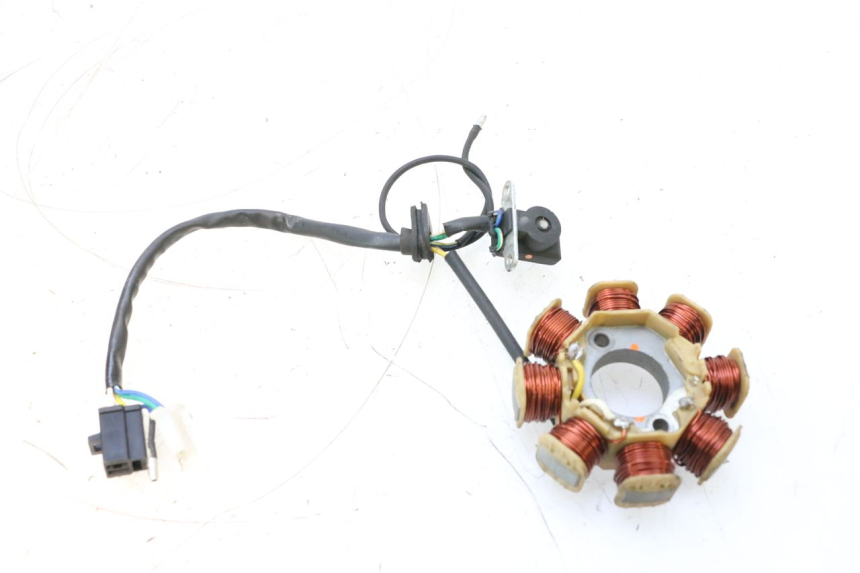 photo de ROTOR STATOR JM MOTORS EVOLIS 4T 50 (2018 - 2022) - Technische Nahaufnahme