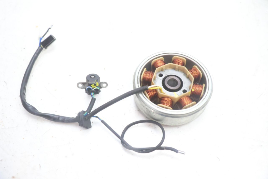 photo de ROTOR STATOR JM MOTORS EVOLIS 4T 50 (2018 - 2022) - Zoom auf Gebrauchszustand