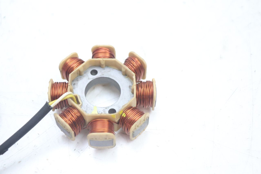 photo de ROTOR STATOR JM MOTORS EVOLIS 4T 50 (2018 - 2022) - Technische Nahaufnahme