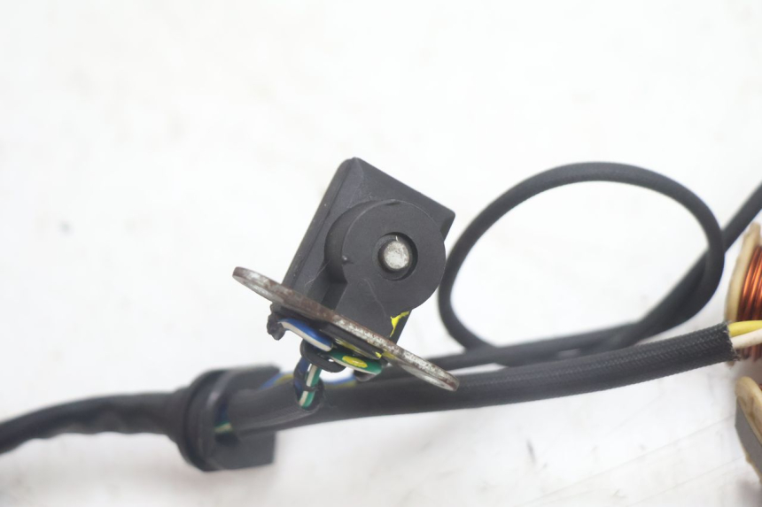 photo de ROTOR STATOR JM MOTORS EVOLIS 4T 50 (2018 - 2022) - Gesamtansicht des Produkts
