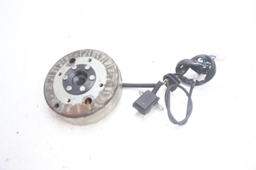 photo de ROTOR STATOR JM MOTORS EVOLIS 4T 50 (2018 - 2022) - Zoom auf Gebrauchszustand
