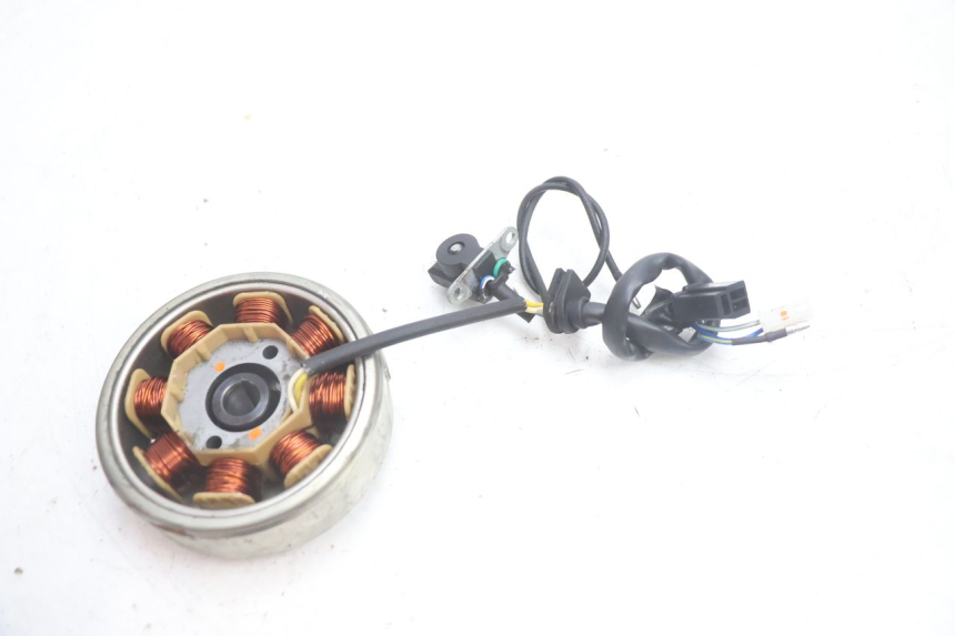 photo de ROTOR STATOR JM MOTORS EVOLIS 4T 50 (2018 - 2022) - Alternative Perspektive
