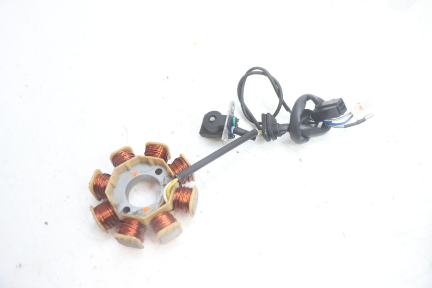 photo de ROTOR STATOR JM MOTORS EVOLIS 4T 50 (2018 - 2022) - Details der Befestigungspunkte