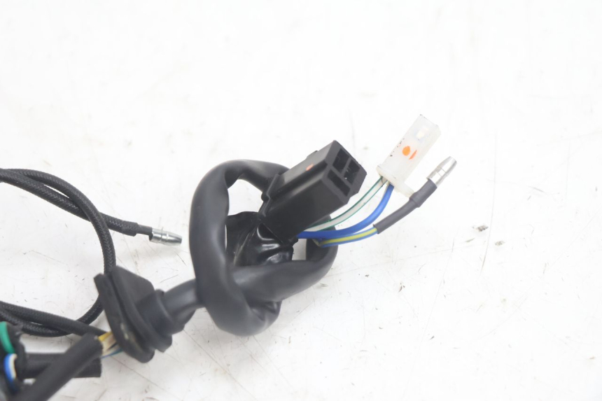 photo de ROTOR STATOR JM MOTORS EVOLIS 4T 50 (2018 - 2022) - Kennzeichnungen und Originalreferenzen