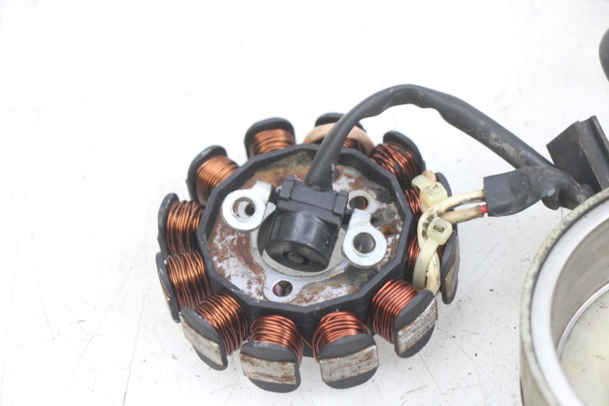 photo de ROTOR STATOR TNT MOTOR FASTINO 4T 50 (2013 - 2019) - Technische Nahaufnahme