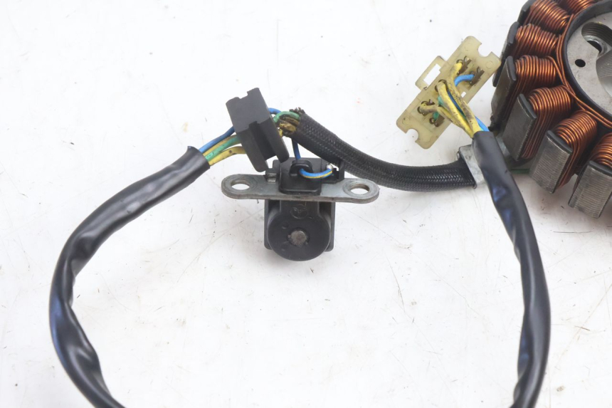 photo de LICHTMASCHINE HONDA FES PANTHEON 2T 125 (1998 - 2002) - Details der Befestigungspunkte
