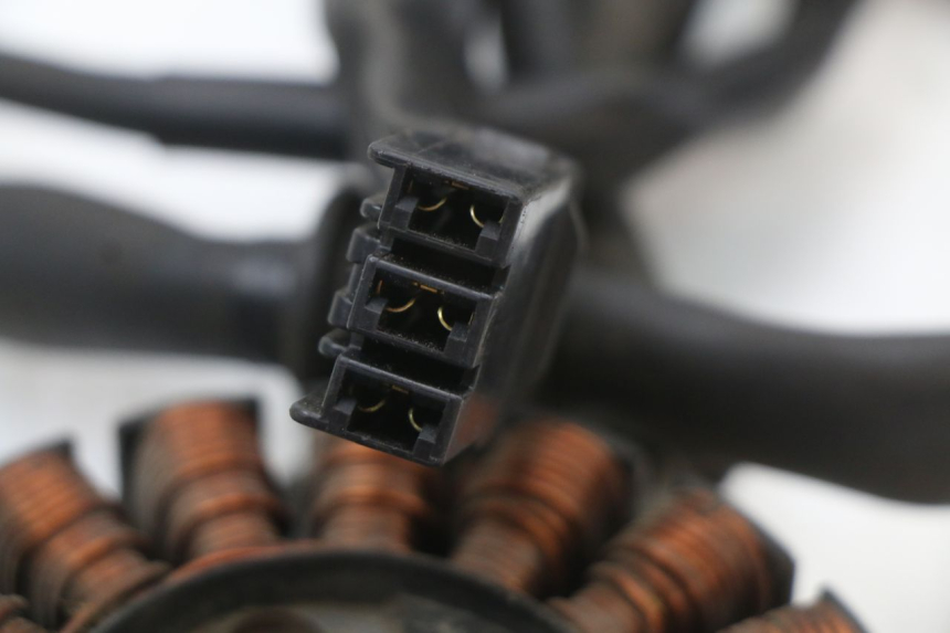 photo de LICHTMASCHINE HONDA FORZA 125 (2015 - 2016) - Geprüftes Gebrauchtteil