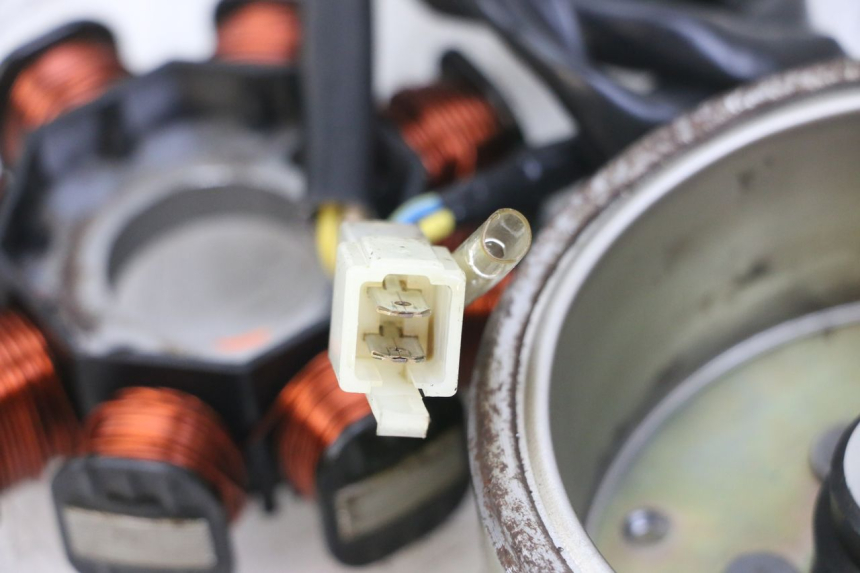 photo de LICHTMASCHINE GOES WIKI 125 (2010 - 2015) - Alternative Perspektive