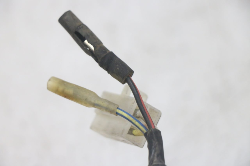 photo de LICHTMASCHINE EUROCKA GTR 50 (2007 - 2017) - Alternative Perspektive