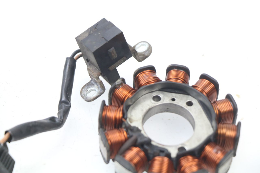 photo de LICHTMASCHINE PIAGGIO LIBERTY 4T 50 (2004 - 2008) - Zoom auf Gebrauchszustand