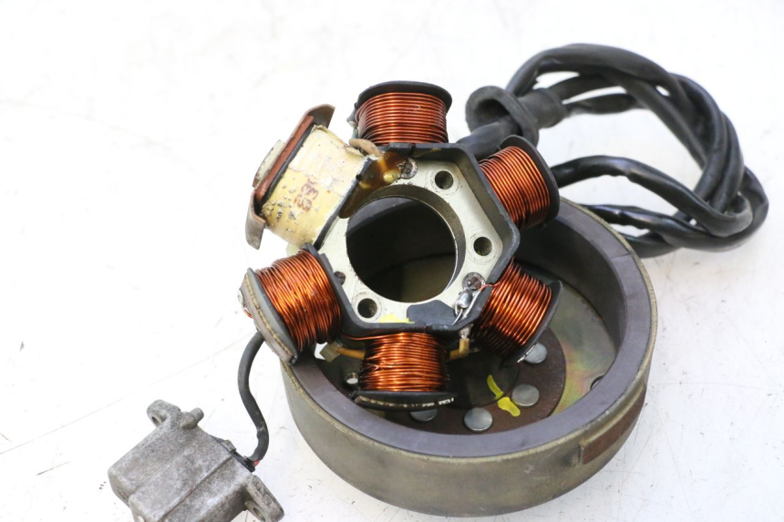photo de LICHTMASCHINE PIAGGIO LIBERTY 50 (1998 - 2003) - Technische Nahaufnahme