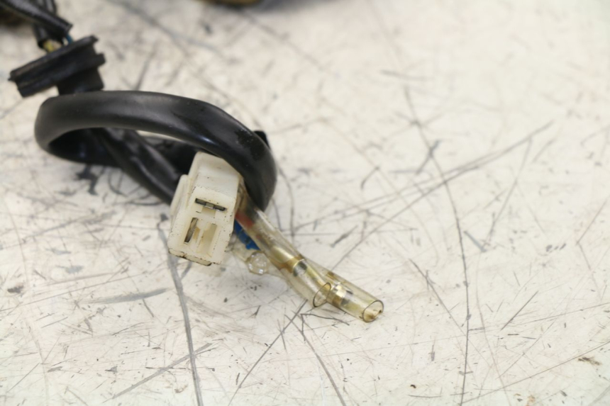 photo de LICHTMASCHINE ZNEN NEW ROLANDO 50 (2010 - 2020) - Alternative Perspektive