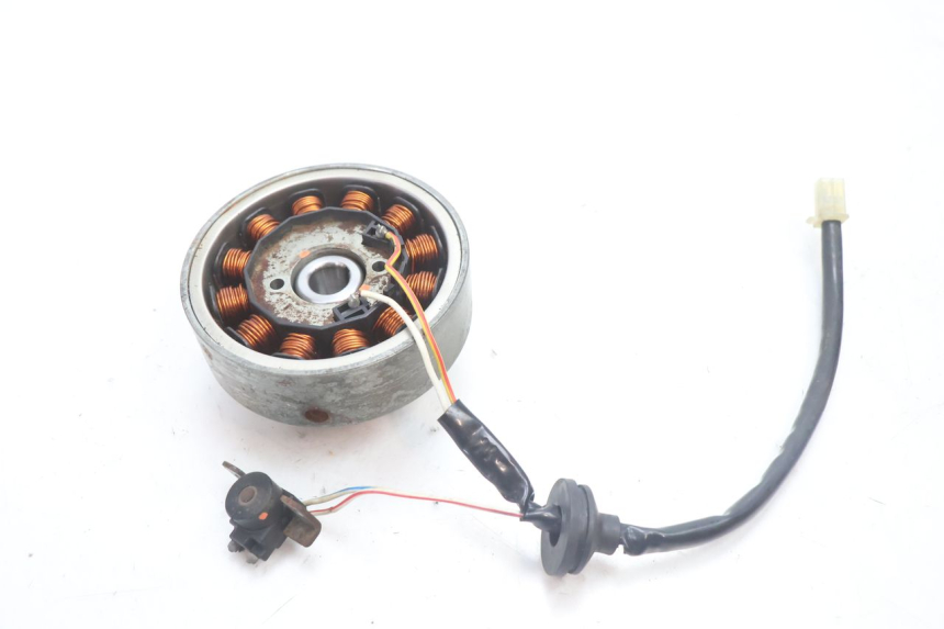 photo de LICHTMASCHINE MBK NITRO 50 (2004 - 2008) - Alternative Perspektive