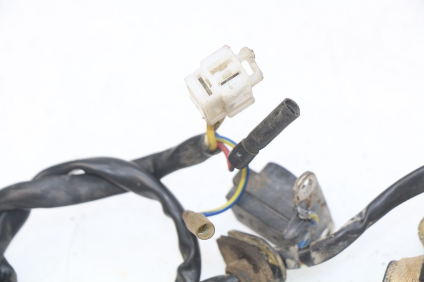 photo de ROTOR STATOR JM MOTORS OLDIES 4T 50 (2010 - 2020) - Zoom auf Gebrauchszustand