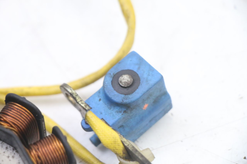 photo de ROTOR STATOR PIAGGIO X8 125 (2004 - 2007) - Geprüftes Gebrauchtteil