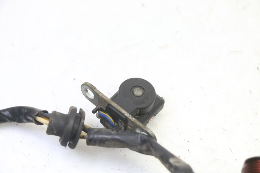 photo de ROTOR STATOR PGO RODOSHOW 2T 50 (2003 - 2007) - Gesamtansicht des Produkts