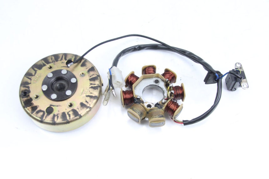 photo de ROTOR STATOR TNT MOTOR ROMA 10' 4T 50 (2007 - 2018) - Detailansicht des Bauteils