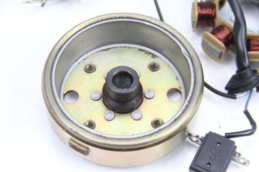 photo de ROTOR STATOR TNT MOTOR ROMA 10' 4T 50 (2007 - 2018) - Technische Nahaufnahme