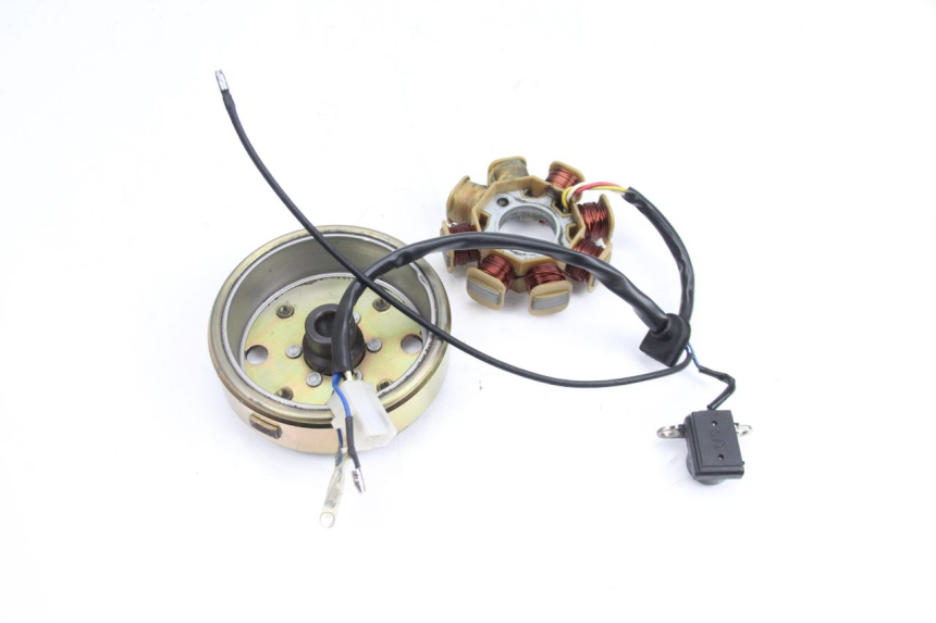 photo de ROTOR STATOR TNT MOTOR ROMA 10' 4T 50 (2007 - 2018) - Gesamtansicht des Produkts