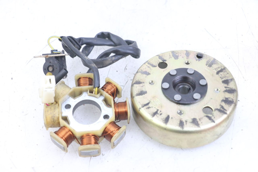 photo de ROTOR STATOR TNT MOTOR ROMA 10' 4T 50 (2007 - 2018) - Zoom auf Gebrauchszustand