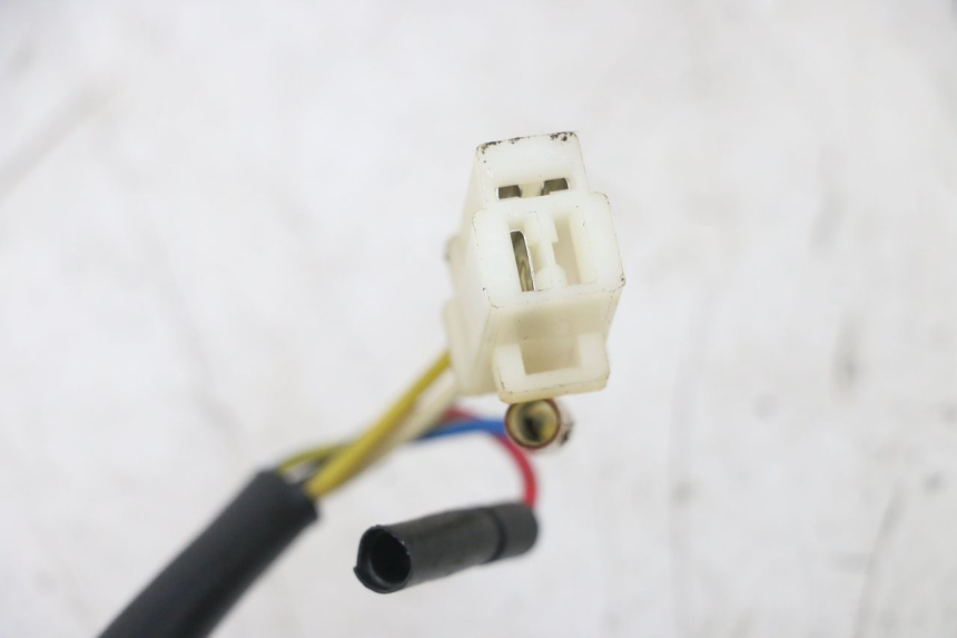 photo de ROTOR STATOR TNT MOTOR ROMA 10' 4T 50 (2007 - 2018) - Alternative Perspektive