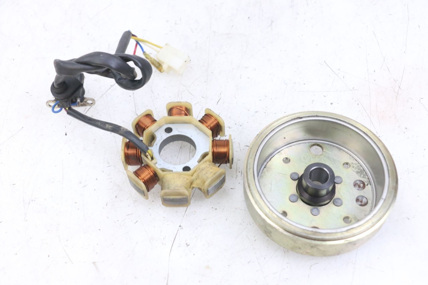 photo de ROTOR STATOR TNT MOTOR ROMA 10' 4T 50 (2007 - 2018) - Technische Nahaufnahme