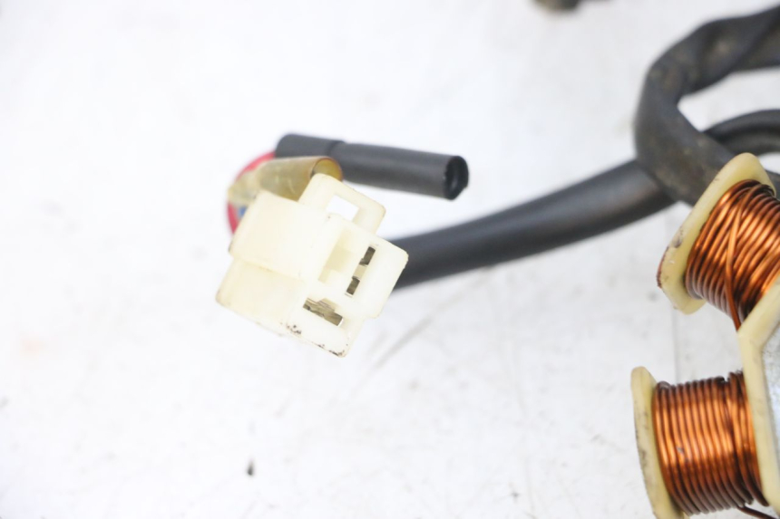 photo de ROTOR STATOR TNT MOTOR ROMA 10' 4T 50 (2007 - 2018) - Details der Befestigungspunkte