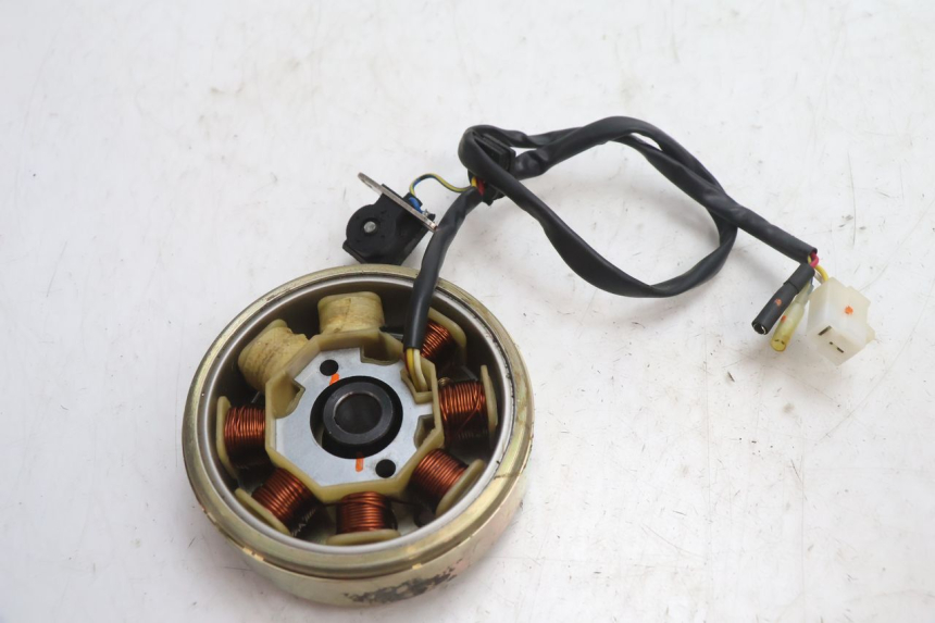 photo de ROTOR STATOR TNT MOTOR ROMA 10' 4T 50 (2007 - 2018) - Alternative Perspektive