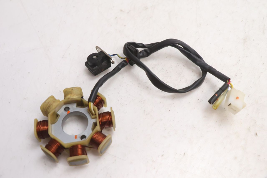 photo de ROTOR STATOR TNT MOTOR ROMA 10' 4T 50 (2007 - 2018) - Technische Nahaufnahme