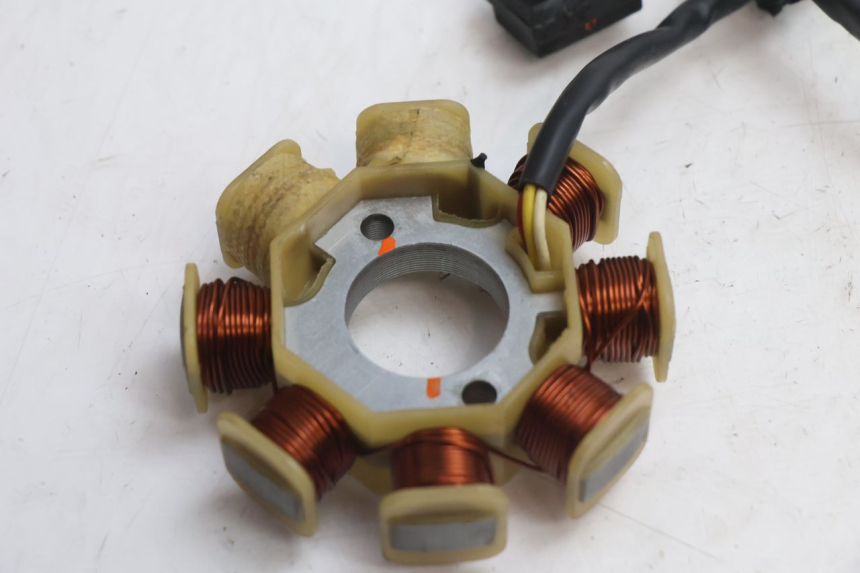 photo de ROTOR STATOR TNT MOTOR ROMA 10' 4T 50 (2007 - 2018) - Gesamtansicht des Produkts
