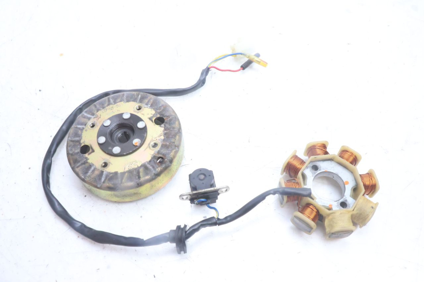 photo de ROTOR STATOR TNT MOTOR ROMA 10' 4T 50 (2007 - 2018) - Hauptansicht