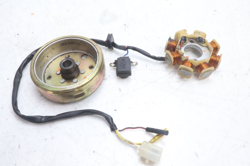 photo de ROTOR STATOR TNT MOTOR ROMA 10' 4T 50 (2007 - 2018) - Detailansicht des Bauteils
