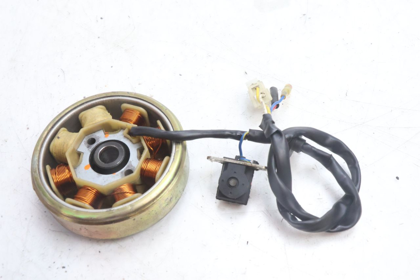 photo de ROTOR STATOR TNT MOTOR ROMA 10' 4T 50 (2007 - 2018) - Alternative Perspektive