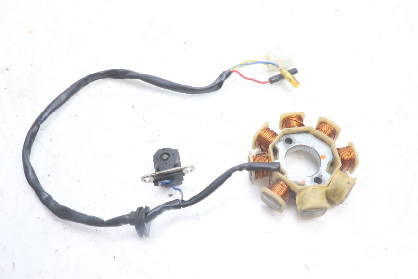 photo de ROTOR STATOR TNT MOTOR ROMA 10' 4T 50 (2007 - 2018) - Details der Befestigungspunkte